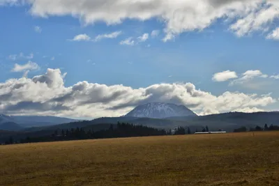 DSC_5879 (Large).JPG